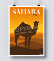 Affiche dromadaire sahara