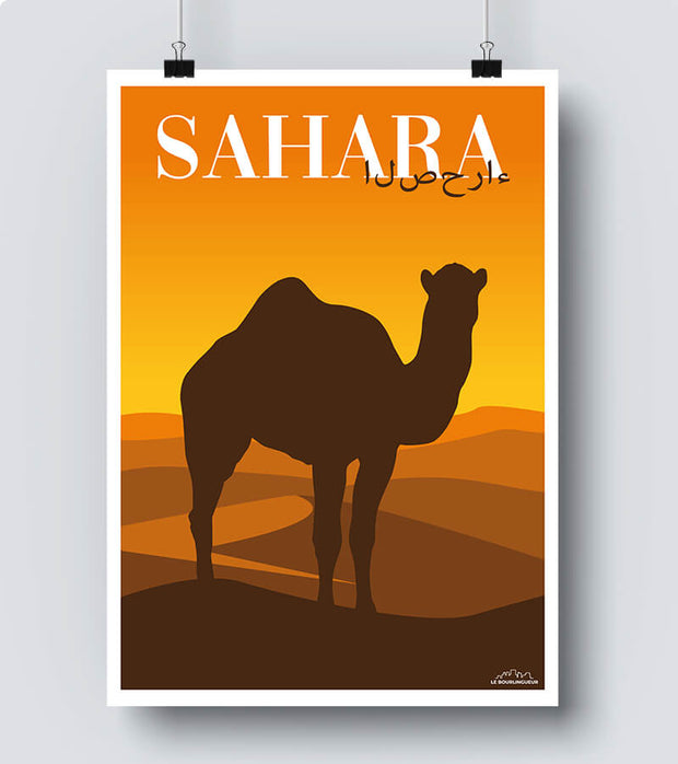 Affiche dromadaire sahara