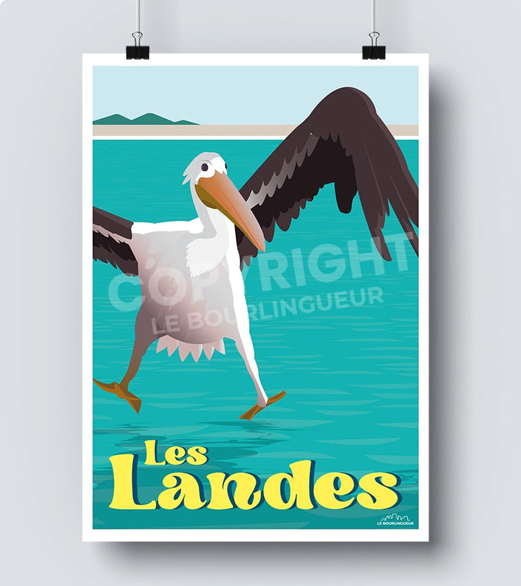 Affiche pelican les landes
