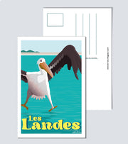Carte Postale pelican les landes