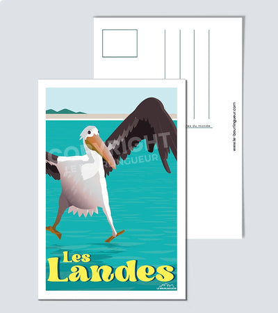 Carte Postale pelican les landes